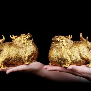 Ưu đãi lớn ! giảm giá đến 30 % 